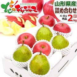 �y�\��z�~�̉ʎ� 2�F�l�ߍ��킹 2kg (�G�i/4�ʁ`8�ʓ���/�T���ӂ������E�t�����X) �M�t�g �ʕ� ������