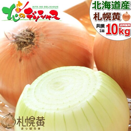 【出荷中】北海道産 新玉 玉ねぎ 札幌黄 10kg (JA共撰/常温便) たまねぎ タマネギ 玉ネギ 玉葱 さっぽろき 野菜 北海道 野菜 秋野菜 お取り寄せ_0