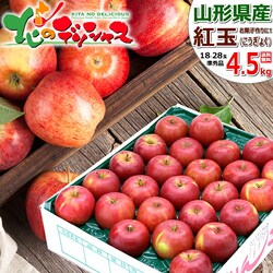 �y�\��z�R�`���Y ���ƒ�p ��� �g�� 4.5kg (���G�i/18�ʁ`28�ʓ���) �ь� �󂠂� ������p ������