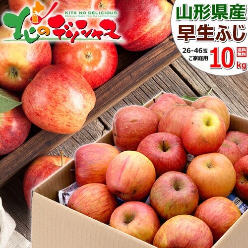 【出荷中】山形県産 ご家庭用 りんご 早生ふじ 10kg (訳あり/26玉〜46玉入り) 訳あり りんご 林檎 自宅用 家庭用 おうち用 果物 フルーツ 山形県 産地直送 お取り寄せ_0