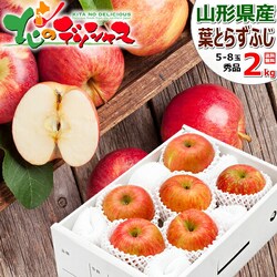 �y�\��z�R�`���Y ��� �t�Ƃ炸�ӂ� 2kg (�G�i/5�ʁ`8�ʓ���) �ь� ���Ε� �M�t�g ���蕨 ������