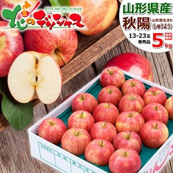 �y�\��z�R�`���Y ���ƒ�p ��� �H�z 5kg (���G�i/13�ʁ`23�ʓ���) �ь� �󂠂� ������p ������