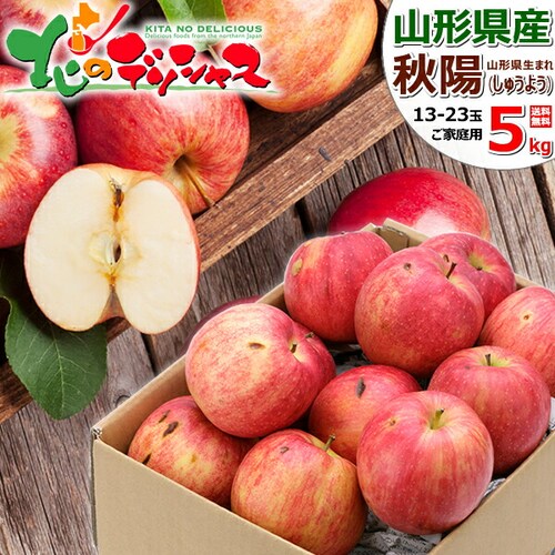 【出荷間近】山形県産 ご家庭用 りんご 秋陽 5kg (訳あり/13玉〜23玉入り) 訳あり りんご 林檎 自宅用 家庭用 おうち用 果物 フルーツ 山形県 産地直送 お取り寄せ_0