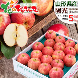 �y�\��z�R�`���Y ���ƒ�p ��� �z�� 5kg (���G�i/13�ʁ`23�ʓ���) �ь� �󂠂� ������p ������