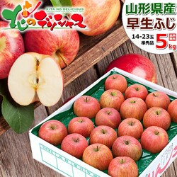 �y�\��z�R�`���Y ���ƒ�p ��� �����ӂ� 5kg (���G�i/14�ʁ`23�ʓ���) �󂠂� ������p ������