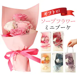 Green house �O���[���n�E�X �\�[�v�t�����[ �X�^���_�[�h �ʔ� �� �t�����[ ���� �t�����[�M�t�g �������� �΂��� �t�F�C�N�t�����[ �M�t�g ���蕨 ������� GREEN HOUSE ���킢�� ���� ���j�� �L�O��