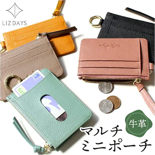 �X�J�C LIZDAYS �p�X�P�[�X �R�C���P�[�X �ʔ� ������� ���f�B�[�X �t���O�����g�P�[�X �{�v ���K���� �J�[�h�z���_�[ �J�[�h���� �J�[�h�P�[�X �~�j���z �~�j�|�[�` �J���r�i ���Y�f�C�Y _0