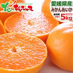 �y�\��z���Q���Y ���ƒ�p �݂��� ������ 5kg (�󂠂�/�퉷) ���k ���蕨 ������p �t���[�c ������