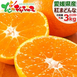 �y�\��z���Q���Y ���ƒ�p �݂��� �g�܂ǂ�� 3kg (�G�i/�퉷) ���k ���Ε� �M�t�g ���蕨 ������