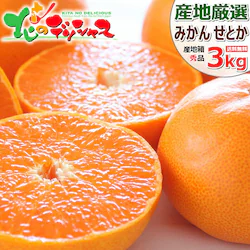 �y�\��z�Y�n���I ���Y �݂��� ���Ƃ� 3kg (�G�i/7�`15��/�퉷��) �M�t�g ���蕨 ������p ������