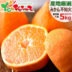 �y�o�ג��z�Y�n���I ���Y �݂��� �s�m�� 5kg (�G�i/16�`24��/�퉷��) �M�t�g ���蕨 ������p ������