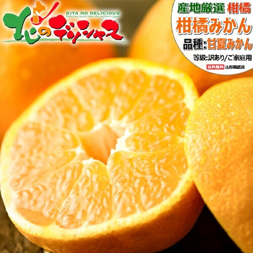 �y�o�׊ԋ߁z�Y�n���I ���Y ���ƒ�p �݂��� �É� 10kg (�󂠂�/L-2L/�퉷��) ���k �킯���� ������_0