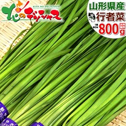 �y�\��z�R�`���Y ����s �s�ҍ� 800g (80g�~10������) �j�� �M�t�g ���蕨 ������p �ƒ�p ������