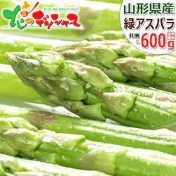 �y�\��z�R�`���Y �O���[���A�X�p�� 600g (L�T�C�Y) �M�t�g ���蕨 �v���[���g ������p �ƒ�p ������