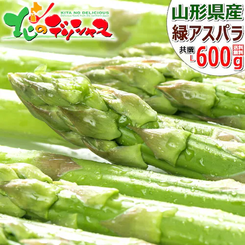 �y�o�ג��z�R�`���Y �O���[���A�X�p�� 600g (L�T�C�Y) �M�t�g ���蕨 �v���[���g ������p �ƒ�p ������_0