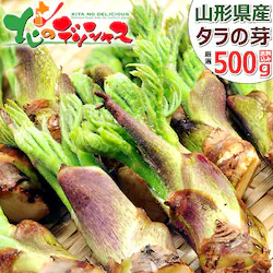 �y�\��z�R�`���Y �R�� �^���̉� 500g���� �M�t�g ���蕨  ������p �ƒ�p ������