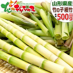 �y�\��z�R�`���Y �R�� �ג| 500g���� �M�t�g ���蕨  ������p ���R� ������