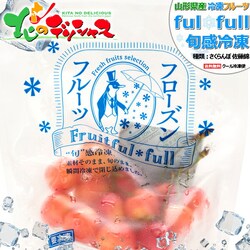 �Ⓚ�t���[�c �R�`���Y �������� 6�ܓ��� (������/1�� 100g/�Ⓚ�i) �Ⓚ�ʕ� �M�t�g ���蕨 ������