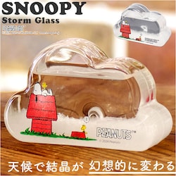 ���J�Y�� �X�g�[���O���X �L�����N�^�[ �ʔ� �T�C�G���X�I�u�W�F �T�C�G���X�G�� �u�� �u���� �Ȋw �T�C�G���X �N���E�hSS PEANUTS �s�[�i�b�c �X�k�[�s�[ Snoopy �L���� ���킢�� ���� �R���p�N�g �C���e���A