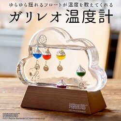 �X�k�[�s�[ ���x�v ������� �ʔ� �L�����N�^�[ �X�k�[�s�[ �O�b�Y ��l ���� �K���X�t���[�g���x�v �K�����I���x�v �_ �u���� �u�� ������� �ؐ� �Ȋw �T�C�G���X �V�z�j�� �M�t�g �v���[���g peanuts �C���e���A