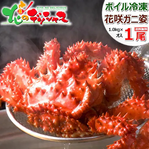 ���V�A�Y �J�j �ԍ�K�j 1�� (�p/�I�X/1��1kg/�{�C���Ⓚ) ���� �� �n�i�T�L �ԍ�I �M�t�g �����񂹁y������s�z_0