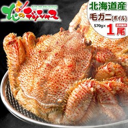 �J�j �k�C���Y �уK�j 570g�~1�� (�p/�{�C���Ⓚ) �т��� �M�t�g ���蕨 ���ƒ�p ���� �I ������