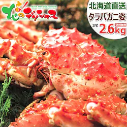 �J�j �^���o�K�j ���� 1�� 2.6kg (�p/�{�C���Ⓚ) �I �^���o �^���o�I �^���o�p �M�t�g �k�C�� ������