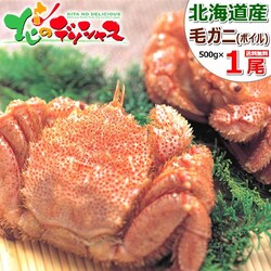 �J�j �k�C���Y �уK�j 500g�~1�� (�p/�{�C���Ⓚ) �т��� �M�t�g ���蕨 ���ƒ�p ���� �I ������