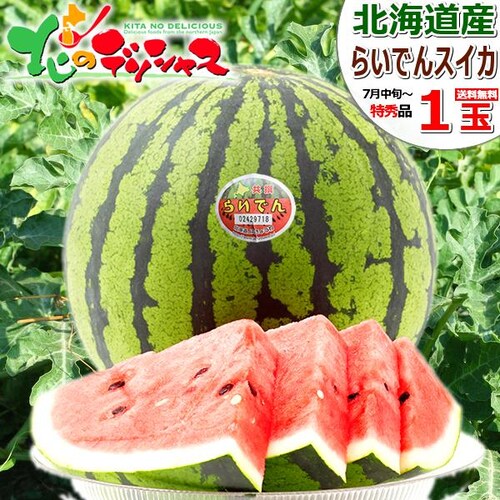 �y�o�ג��z�k�C���Y �炢�ł�X�C�J 1�� (JA����/���G�i/1�� 7.0kg/�N�[����) �k�C�� ������ �M�t�g ���蕨 �ʕ� ������_0
