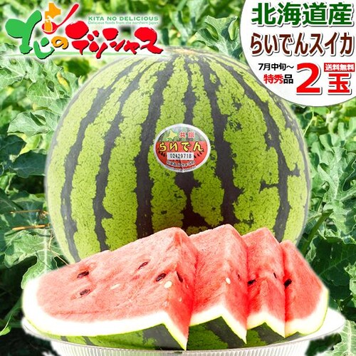 �y�o�ג��z�k�C���Y �炢�ł�X�C�J 2�� (JA����/���G�i/1�� 7.0kg/�N�[����) �k�C�� ������ �M�t�g ���蕨 �ʕ� ������_0