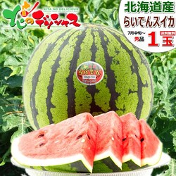 �y�\��z�k�C���Y �炢�ł�X�C�J 1�� (JA����/�G�i/1�� 7.0kg/�퉷��) �M�t�g �k�C�� �ʕ� ������