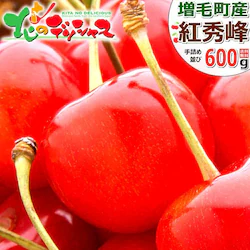 �y�\��z�k�C�� ���юY �������� �g�G�� 600g (����/�G�i/2L/300g�~2/��l��/�N�[����) �ʕ� ������