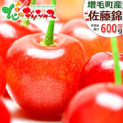 �y�\��z�k�C�� ���юY �������� ������ 600g (����/�G�i/L/300g�~2/��l��/�N�[����) �ʕ� ������