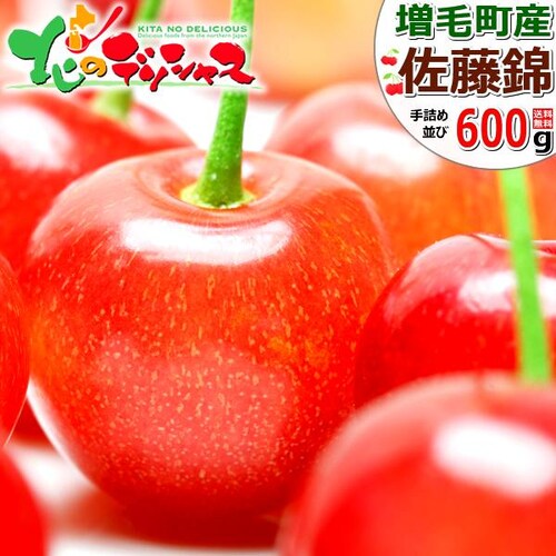 【出荷間近】北海道 増毛産 さくらんぼ 佐藤錦 600g (共撰/秀品/Lサイズ/300g×2/手詰め/クール便) お中元 暑中見舞い ギフト 贈り物 果物 フルーツ お取り寄せ_0