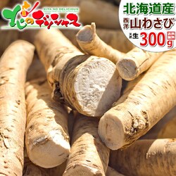 �k�C���Y �R�킳�� (300�`450g) �ڈΎR�킳�� ���m�킳�� ���킳�� �z�[�X���f�B�b�V �k�C�� ������