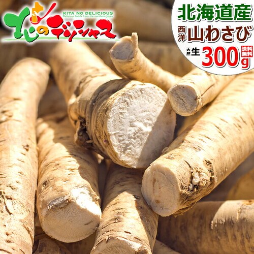北海道産 山わさび (300〜450g) 蝦夷山わさび 西洋わさび 根わさび ホースラディッシ 北海道 お取り寄せ【代引き不可】_0