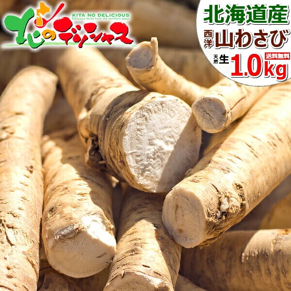 山わさび 【数量限定】苗 根 北海道 100本 + オマケ 太さ5mm 以上 山