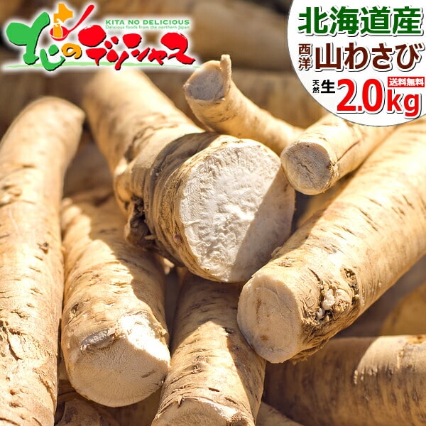 北海道産 山わさび (300～450g) 蝦夷山わさび 西洋わさび 根わさび