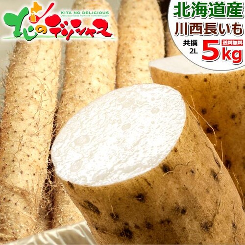 �y�o�ג��z������ �k�C���Y �\���쐼 ���� 5kg (2L�T�C�Y/6�{����) ���� �Ƃ�� �k�C�� �����񂹁y������s�z_0