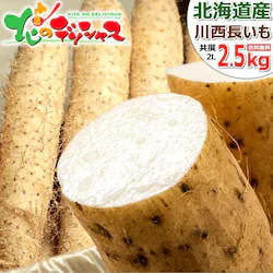 �y�o�ג��z������ �k�C���Y �\���쐼 ���� 2.5kg (2L�T�C�Y/3�{����) ���� �Ƃ�� �k�C�� ������