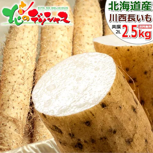 �y�o�ג��z������ �k�C���Y �\���쐼 ���� 2.5kg (2L�T�C�Y/3�{����) ���� �Ƃ�� �k�C�� �����񂹁y������s�z_0