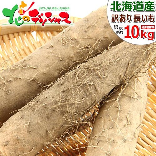 �y�o�ג��z������ �k�C���Y �󂠂� ���� 10kg (�@��L�Y�E�܂�E��`�E���T�C�Y�Ȃ�) �k�C�� �����񂹁y������s�z_0