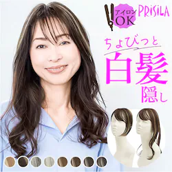 �ϔM�n�j�[�u�����Y �X�^���_�[�h�^�C�v prisila �v���V�� �E�B�b�O ST-012 ST-012L �ʔ� �E�C�b�O �����E�B�b�O �����B�� �����B���E�B�b�O ���� ���� �|�C���g�E�B�b�O �|�C���g�E�C�b�O �����J�o�[ PRISILA