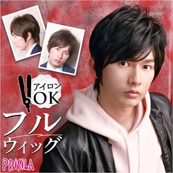 AB.�ϔM�A�b�V���u���E�� prisila �v���V�� �E�B�b�O MA-10 �����Y �ʔ� �I�[���E�C�b�O �I�[���E�B�b�O �t���E�B�b�O �t���E�C�b�O �S������ ���� �E�C�b�O �����Y�E�B�b�O �J�c�� �j���p �j�� PRISILA