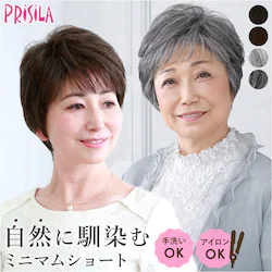 �v���V�� �E�B�b�O �t���E�B�b�O �ʔ� �V���[�g ���R �{�u ���� ��l �R�X�v�� ���� ���� ���� ������� �u���b�N �u���E�� 20�� 30�� 40�� 50�� ���f�B�[�X�w�A�P�A ���e �w�A�P�A