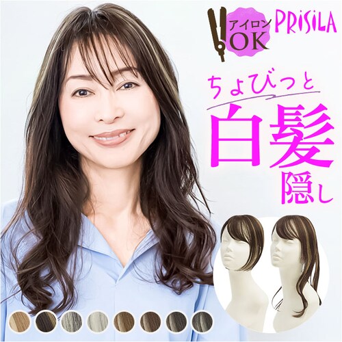 ナチュラルブラックハイメッシュ ロングタイプ prisila プリシラ ウィッグ ST-012 ST-012L 通販 ウイッグ 部分ウィッグ 白髪隠し 白髪隠しウィッグ かつら つけ毛 ポイントウィッ_0