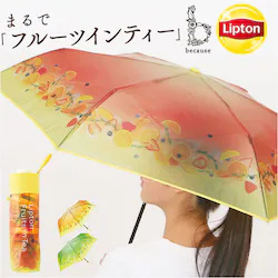 because �܂肽���ݎP �r�R�[�Y B-055262 �ʔ� �܂��ݎP �r�j�[���P �܂肽���݃r�j�[���P �P �J�P ���� �J�T ��J�� 50cm 50�Z���` Lipton ���v�g�� �t���[�c�C���e�B�[ ���f�B�[�X ���� �ʋ� �ʊw ��l ���q