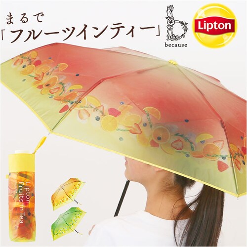 because �܂肽���ݎP �r�R�[�Y B-055262 �ʔ� �܂��ݎP �r�j�[���P �܂肽���݃r�j�[���P �P �J�P ���� �J�T ��J�� 50cm 50�Z���` Lipton ���v�g�� �t���[�c�C���e_0