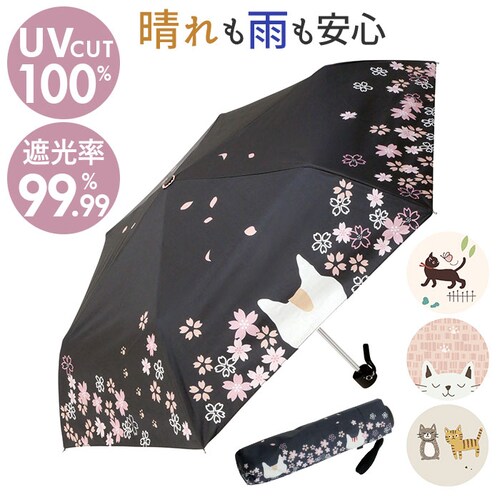 ���J���p �܂肽���ݎP �ʔ� ���P �J�P �܂��ݎP �܂肽���� �R���p�N�g �܂肽���ݓ��P �܂��ݓ��P ����J���p�P �J�T ���� �̂��Ղ炷 ������� ������ �����΍� ���킢�� �P ���f�B�[�X _0