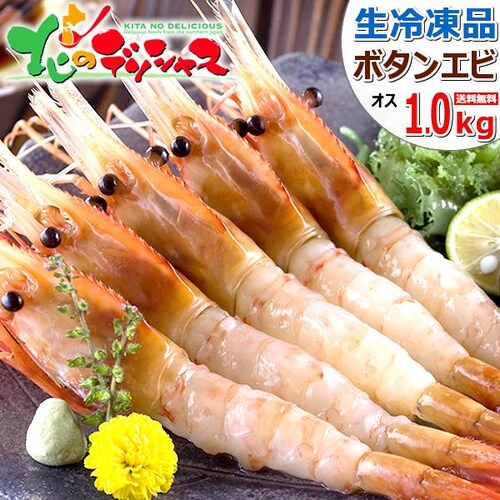 ボタンエビ 1kg (BL/オス/21-23尾入り/生冷凍) 生 エビ 海老 お刺身 ギフト 贈り物 北海道 お取り寄せ【代引き不可】_0